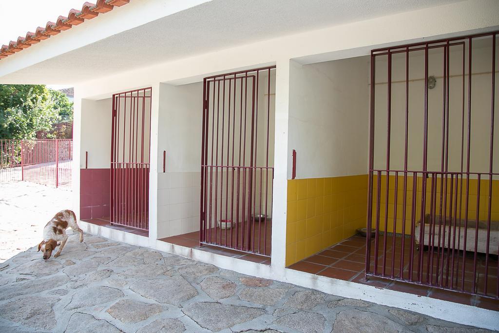 Solar Dos Almeidas - Turismo De Habitacao Bed and Breakfast Trancoso Exteriör bild
